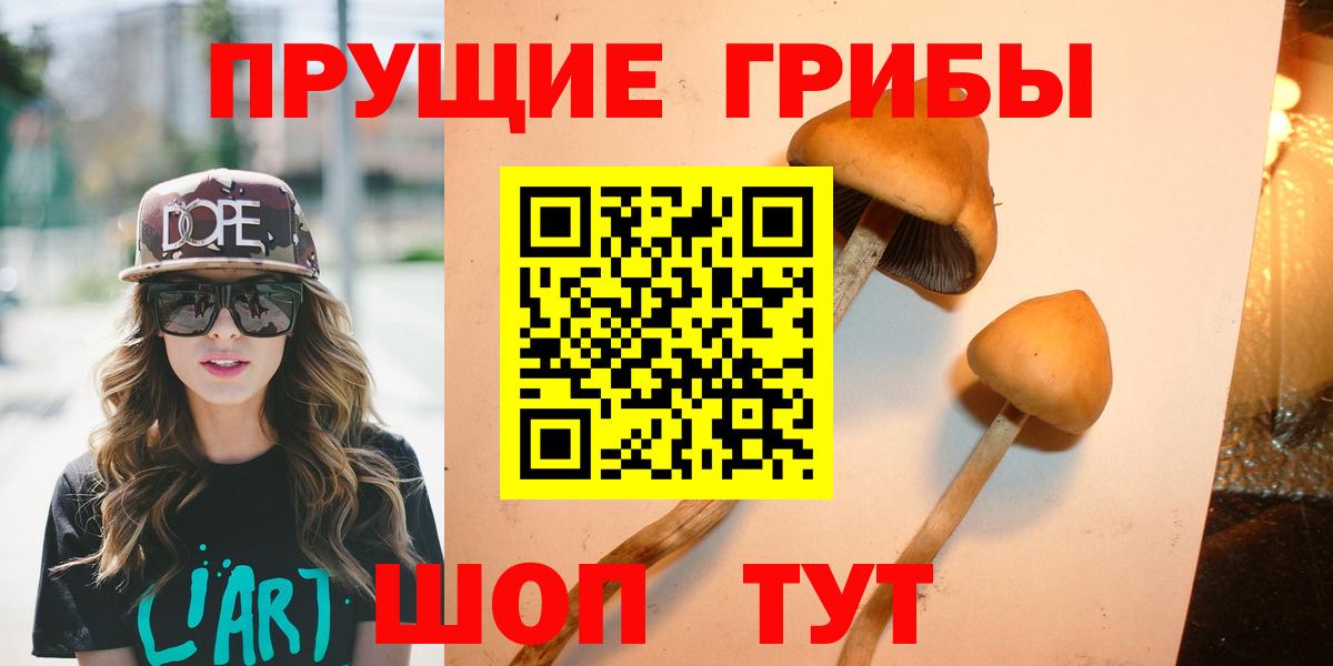 Зима  Псилоцибиновые грибы ЛСД  Вход с VPN  купить наркотики сайты  Галлюциногенные грибы Psilocybe 