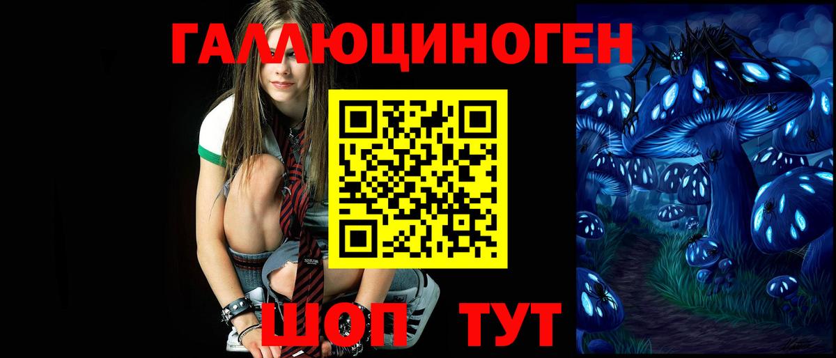 Псилоцибиновые грибы мицелий Зима